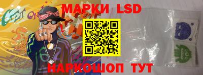 apvp Нальчик