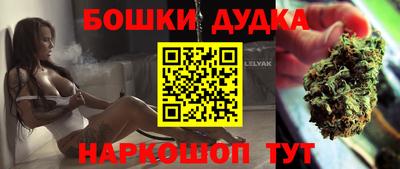 apvp Нальчик