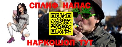 apvp Нальчик