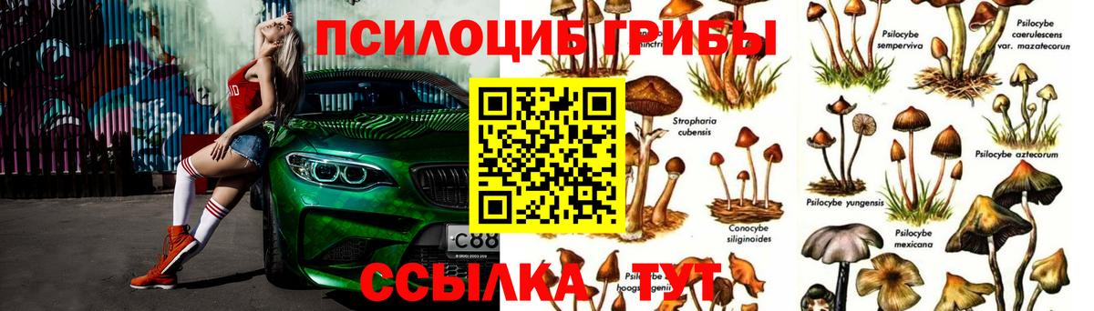 Сердобск  Псилоцибиновые грибы Psilocybine cubensis  Галлюциногенные грибы GOLDEN TEACHER  Вход с VPN 