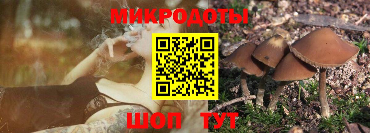 Галлюциногенные грибы GOLDEN TEACHER Сердобск